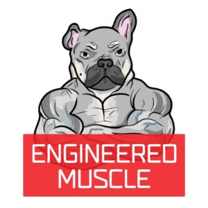 Engineered Muscle
