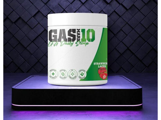 Gas Mark 10 LFG Daily Set up-1